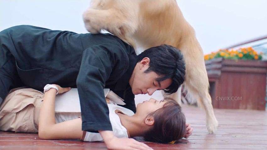 be with you -  first speechless kiss under Qi Bao's claws